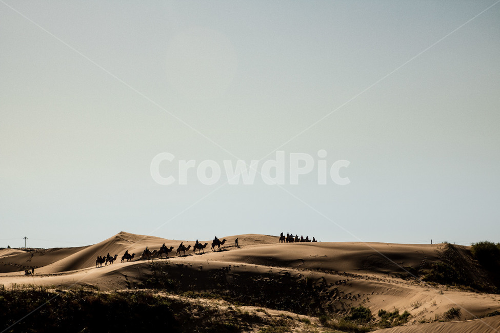 사막,쿠부치사막,낙타,낙타행렬,사막풍경,사막여행,자연,풍경,nature,landscape,해외,외국,세계,foreign,oversea,world,세계자연풍경,해외자연풍경,외국자연풍경,world nature landscape,사람들,대중,군중,other people,crowd,인물실루엣,사람실루엣,character silhouette,human silhouette,soil,흙,sand,모래,outdoors,옥외,dune,모래 언덕