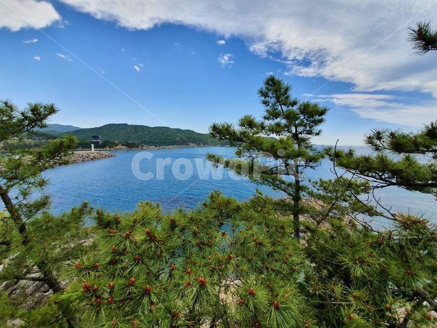 산,바다,동해,푸른,하늘,탁트인,감성