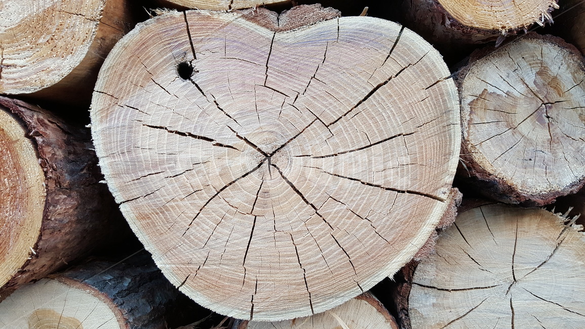 장작,장작더미,나무,쌓아놓은나무,나무결,나이테,하트,tree,wood,heart,하트모양
