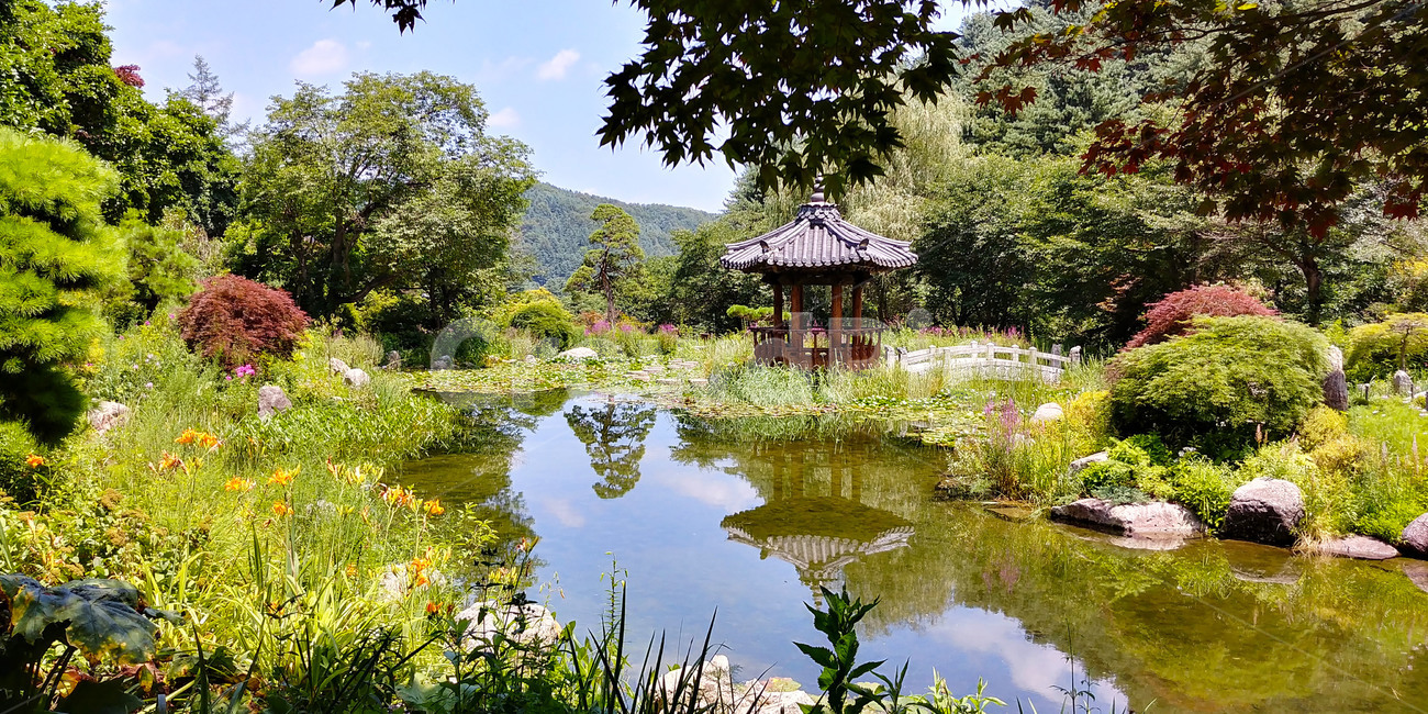 water,물,outdoors,옥외,nature,자연,land,땅,정자,전통,전통정원,정원,고요함,호수,lake