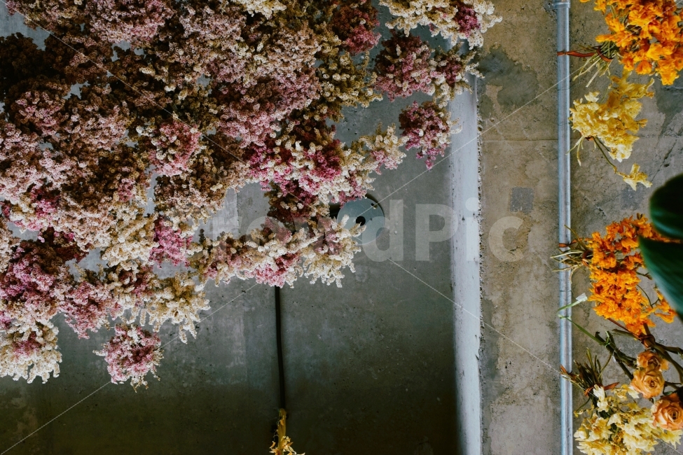 꽃,드라이플라워,인테리어,꽃다발,로맨틱,식물,자연,plants,nature,꽃,flower