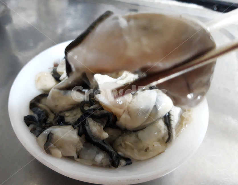 굴,회,해산물,생굴,음식,안주,겨울음식,한국음식,한국요리,식재료,요리,food,cook,meal,dishes,수산물,seafood,겨울,음식,식재료,요리,food,cook,meal,dishes,food reserves,수산물,해산물,fishery products,seafood