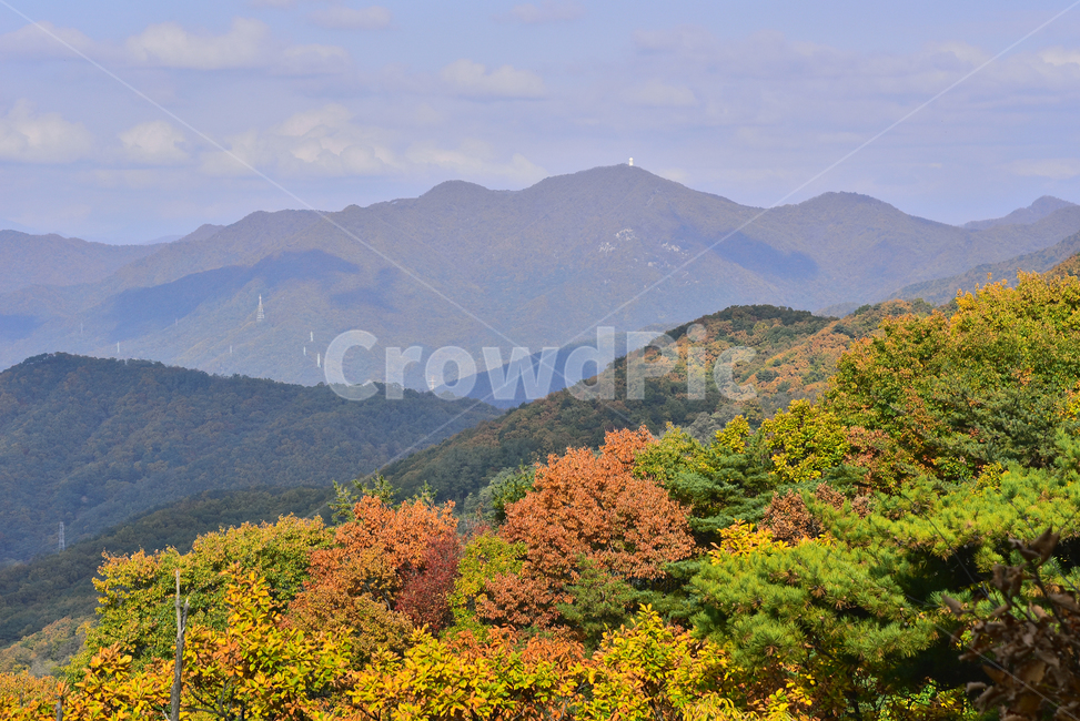 가을,가을풍경,한국자연경관,한국자연풍경,자연,가을배경,fall,autumn,season,가을단풍,nature,outdoors,옥외,산맥,mountain,mountainrange,소나무,가을숲,배경,바탕,백그라운드,background,시즌,계절,골짜기,가을분위기,forest,찬란한,형형색색,칼라풀,colorful,산,능선,봉우리,가을산,가을,계절,fall,autumn,season,자연,풍경,nature,landscape,mountain range