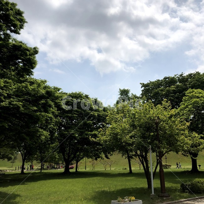 경주,대릉원,릉,언덕,풍경,한적,휴식,여유,힐링,산책