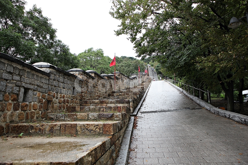 수원화성,서,성곽,길,둘레길,돌담,담,가을,자연,풍경,벽,방어벽,전통,흙담,식물,한국전통,한국문화,korean traditional,korean culture,건축물,건물외관,exterior,building,structure,architecture,construction