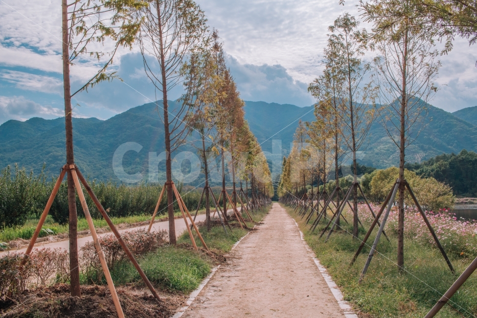 산,자연,길,감성,나무,초록,가을,하늘,구름,mountain,road,trees,korea,자연,풍경,nature,landscape,가을,계절,fall,autumn,season,outdoors,옥외
