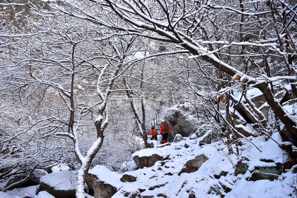 용문산,백운봉,풍경,자연,등산,트레킹,산행,마테호른,두리봉,파란,하늘,상고대,서리꽃,눈꽃,눈,눈풍경,양평,겨울,힐링,산행지,국내여행,자연풍경,산사진,비경,100대명산,감성,조망,전망,자연휴양림,세수골,겨울왕국,아름다운,수려한,겨울,계절,winter,season,자연,풍경,nature,landscape,한국자연풍경,한국자연경관,korea nature landscape,사람들,대중,군중,other people,crowd,여행,휴가,traveling,vacation,trip,스포츠,레저,운동,sports,leisure,exercise,건강,헬스웨어,헬스케어,healthware,health care,outdoors,옥외,storm,폭풍,snow,blizzard,눈보라