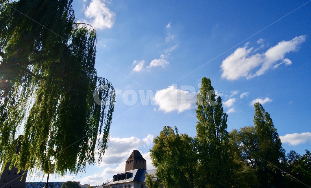 하늘,자연,풍경,나무,구름,산책,프랑스,여행,스트라스부르,sky,nature,scenery,trees,cloud,walking,france,travel,strasbourg,view,도시,풍경,city,landscape,해외,외국,세계,foreign,oversea,world,세계도시풍경,해외도시풍경,외국도시풍경,world cityscape,식물,자연,plants,nature,나무,trees,wood,tree,plant
