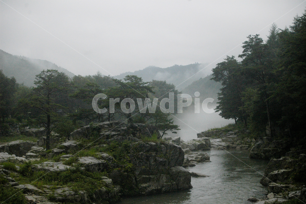 계곡,물,자연,nature,outdoors