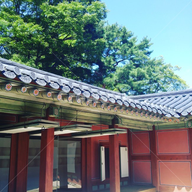 한옥,나무,전통,기와,경복궁