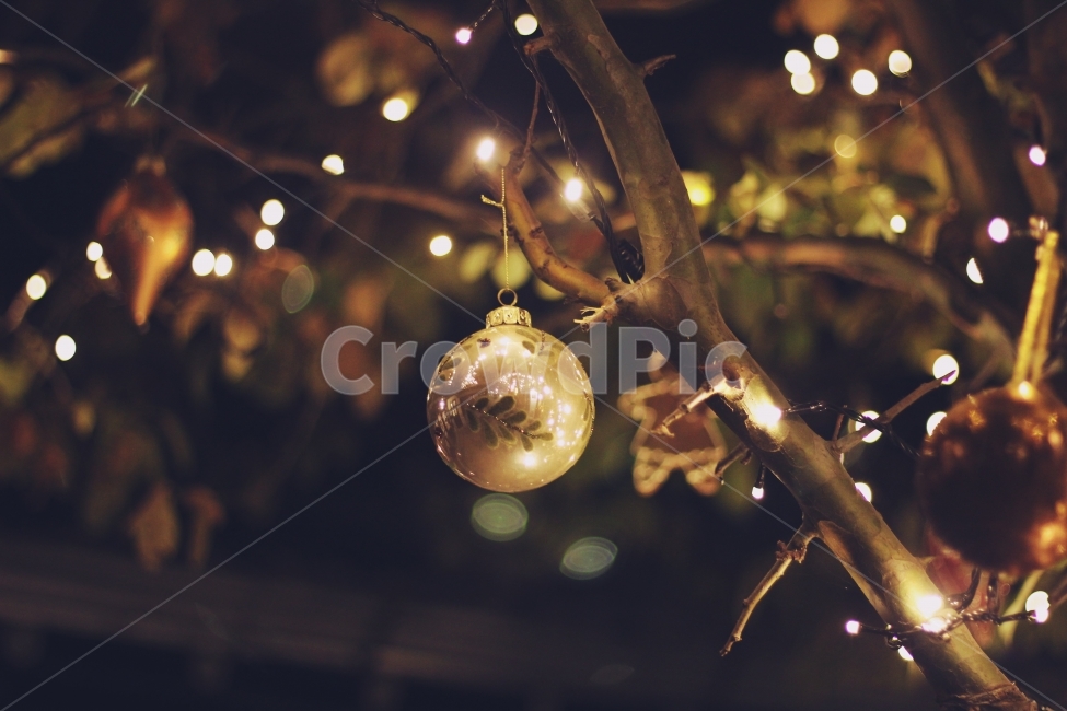 크리스마스,겨울,풍경,겨울사진,감성사진,조명,전구,크리스마스카드,선물,따뜻한사진,감성,파티,기념일,메리크리스마스,겨울,계절,winter,season,기념일,축하,anniversary,congratulation,celebrate,celebration,메리크리스마스,성탄절,merry christmas,감성,sensible,feeling,인테리어,실내디자인,interior design