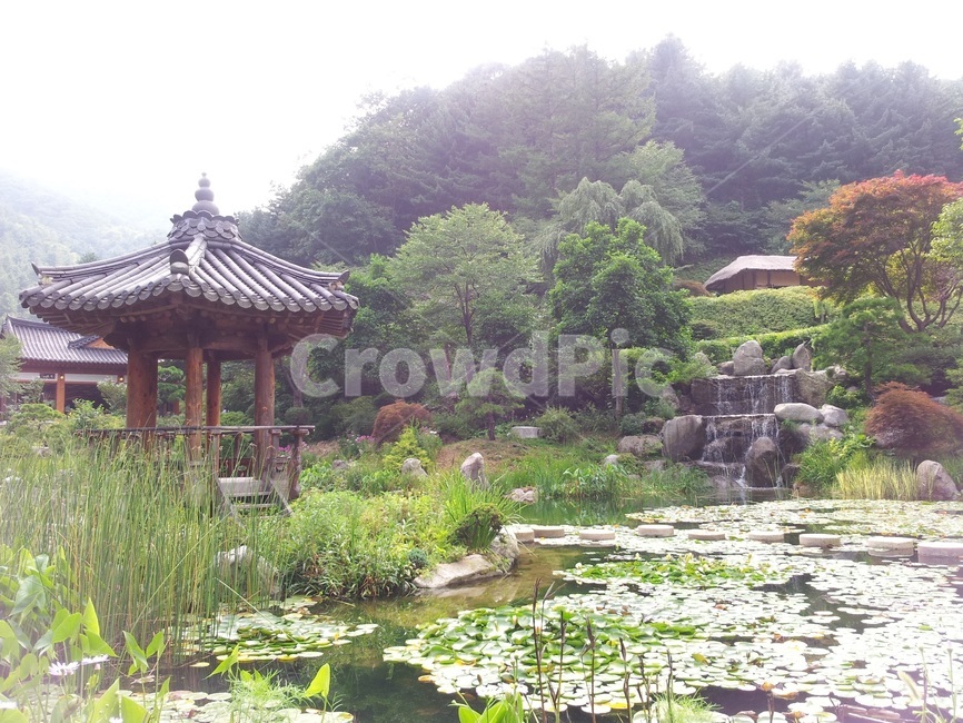 수목원,여름,초록,연못,정자,자연,풍경,nature,landscape,한국전통,한국문화,korean traditional,korean culture,건축물,건물외관,exterior,building,structure,architecture,construction,outdoors,옥외,water,물
