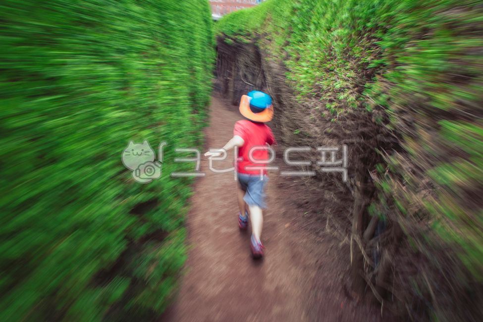 Zooming,Jeju,Summer Photo Contest,back,Maze Park,maze,summer,running,panning,Zooming shot,vacation,Maze Runner,Escape from the maze,escape