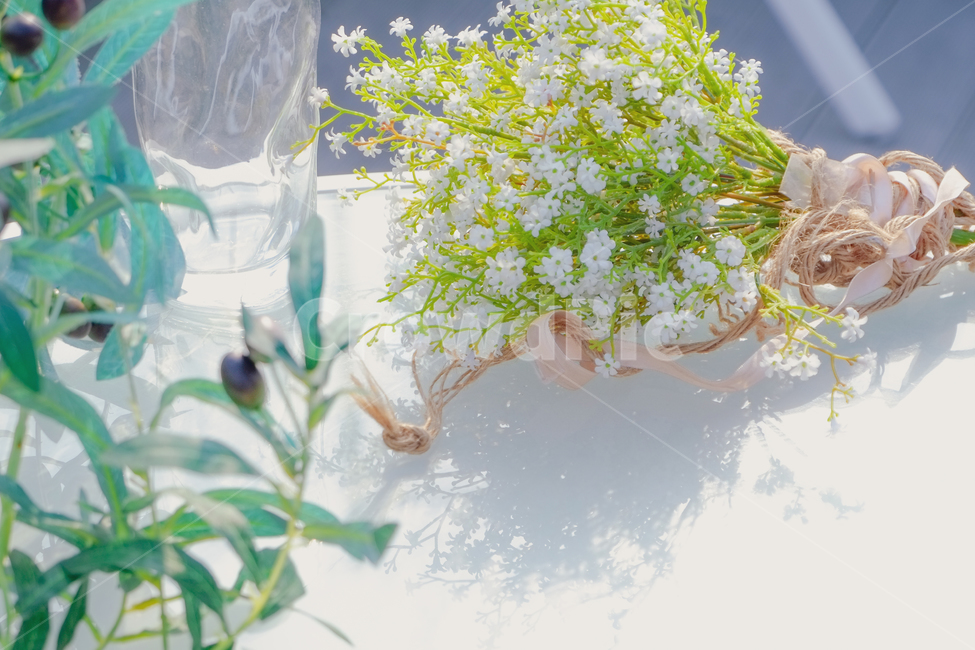 가정장식,식물,꽃,plant,정물,부케,blossom,꽃,flower