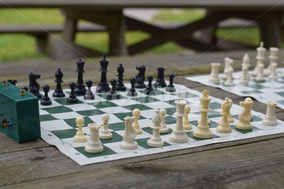 체스,체스게임,게임,chess,game,게임,오락,놀이,game,play
