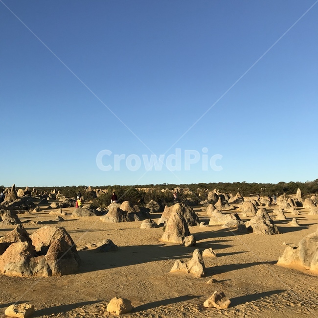 사막,desert,풍경,자연,사막풍경,사막경치,돌,피나클스,호주,호주자연,호주경치,오스트레일리아,austrailia