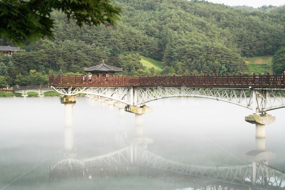 안동,월영교,물안개,반영,안동월영교,풍경,한국풍경,자연,풍경,nature,landscape,한국자연풍경,한국자연경관,korea nature landscape,랜드마크,landmark,tourist attraction,한국랜드마크,한국관광지,한국명소,korea landmark,korea tourist attraction,building,건물,architecture,건축물,bridge,다리