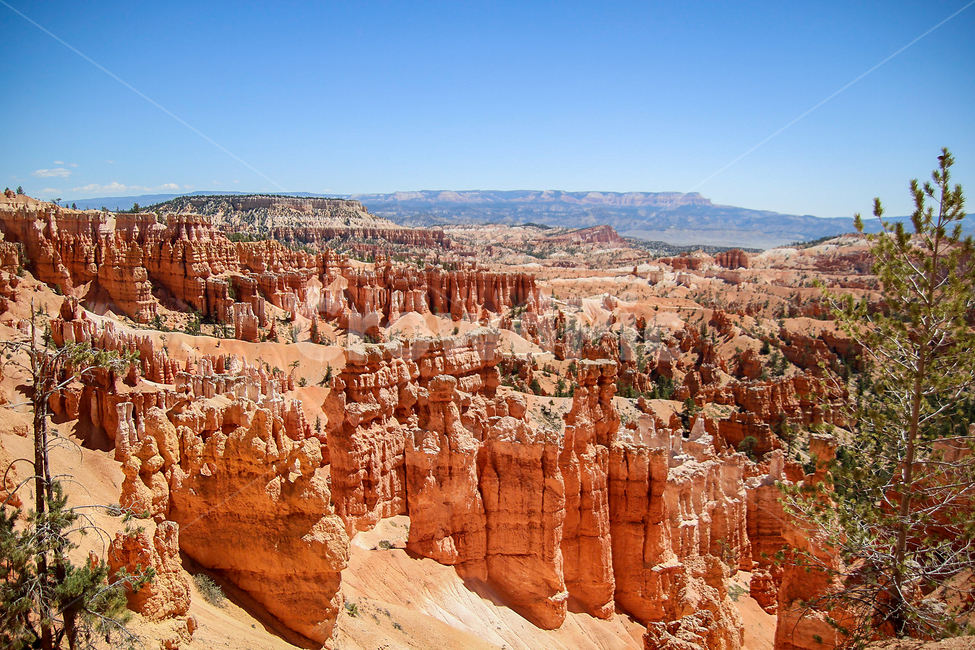 브라이스캐년,brycecanyon,미국,미서부,캐년,외국,사막,자연,풍경,nature,landscape,해외,외국,세계,foreign,oversea,world,세계자연풍경,해외자연풍경,외국자연풍경,world nature landscape,outdoors,옥외,mountain,산