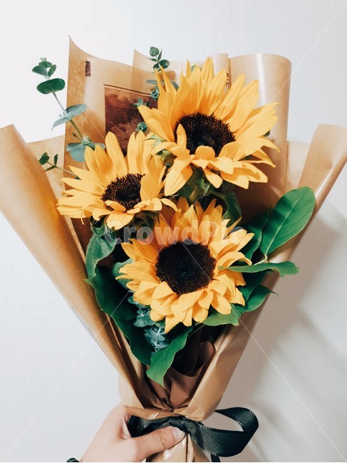 해바라기,선물,클래식,기념일,모던함,꽃,flower,기념일,축하,anniversary,congratulation,celebrate,celebration