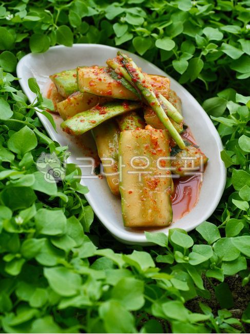 오이,오이김치,오이소박이,한식,한국음식,한국전통음식,아시아음식,김치,음식,전통,다이어트식품,반찬,곁들이는요리,한국문화,배경,건강한식생활,웰빙,웰빙음식,채소,야채,채식,cucumber,cucumberkimchi,koreanfood,koreantraditionalfood,asianfood,kimchi,food,tradition,dietfood,sidedish,koreanculture,background,healthyeating,wellbeing,wellbeingfood,vegetable,vegetariandiet,음식,식재료,요리,food,cook,meal,dishes,food reserves