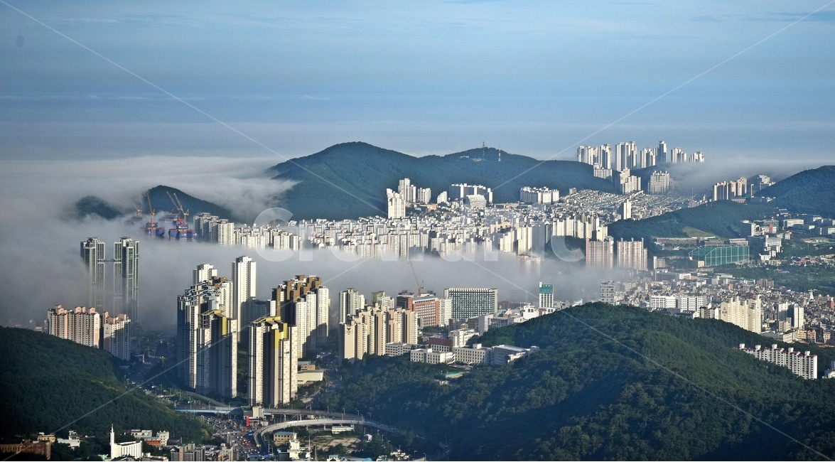 부산,횡령산,해무,아침,도심,건물,도심해무,횡령산해무,산,자연,경치,경관,풍경,도시,풍경,city,landscape