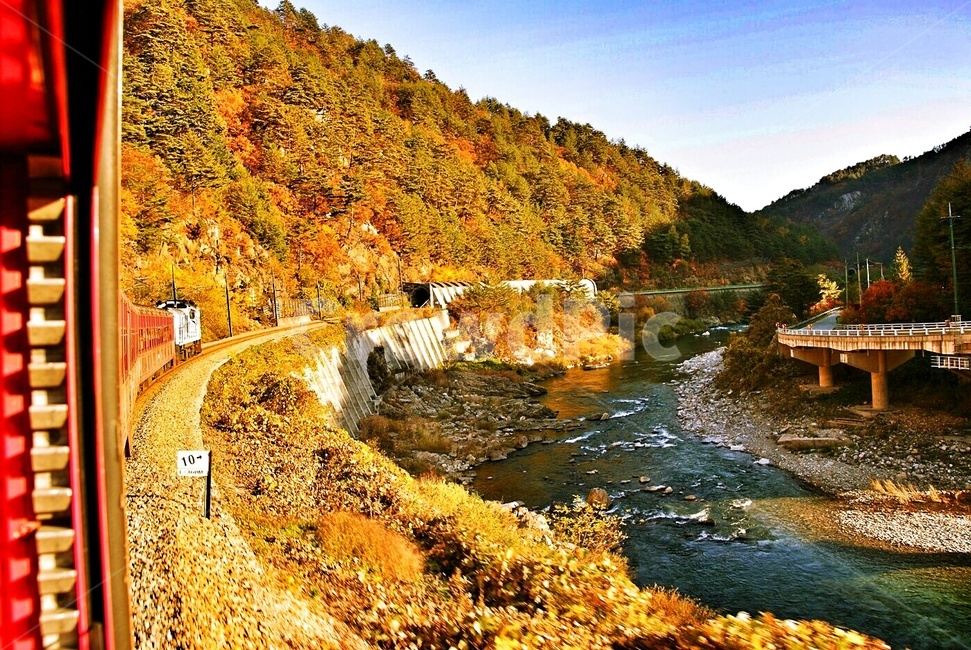 분천,경북,기차,계곡,단풍,가을,계절,fall,autumn,season,자연,풍경,nature,landscape,water,물,outdoors,옥외,stream,흐름,creek,작은 만