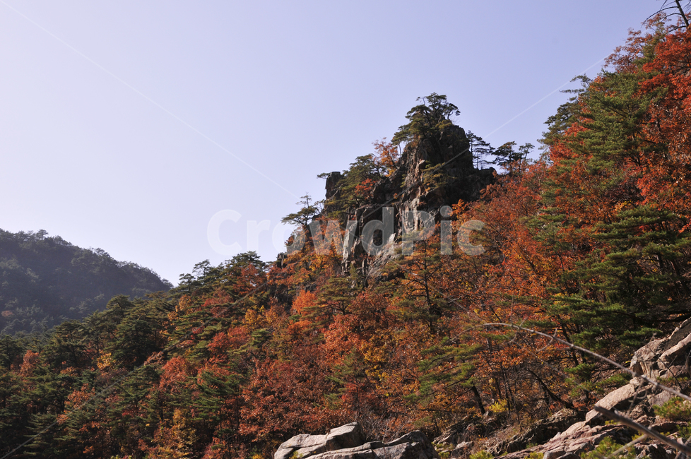 불영사,불영사계곡,가을,단풍,자연,nature,mountain,산,가을불영사,가을불영사계곡