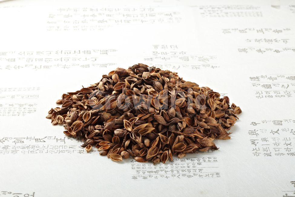 forsythia fruit,Chinese medicine,Oriental medicine hospital,Oriental medicine doctor,medicinal herbs,koreanmedicine,medicinal plants,herb,natural,Oriental medicine,koreantraditional,orientalmedical,medicine,licorice,Herb,annual school,Oriental medicine cl