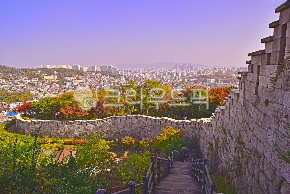 maple forest,Dullegil,city,defence,Hanyangdoseong,architectural style,rampart,healing,Cultural Heritage,fall,defense,big city,nature,autumn background,tree,Healing Course,seoul,urban,outdoors,stonewall,traditional architecture,autumn,autumn mountain,Korea