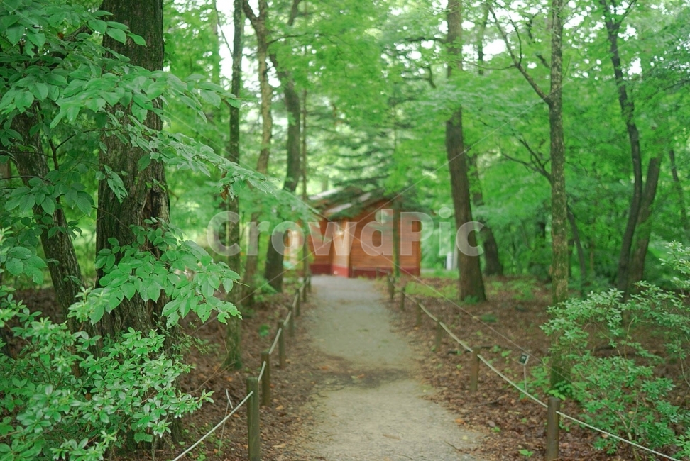 수목원,숲속,오두막,초록,산책,산림욕,자연,풍경,nature,landscape,housing,주택,building,건물,house,집,cottage,시골집