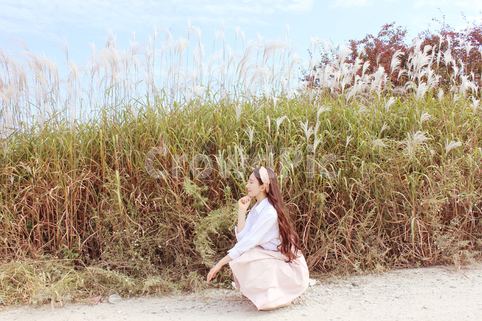 가을,여자,분위기,감성,억새,fall,girl,가을,계절,fall,autumn,season,자연,풍경,nature,landscape,사람,인물,인간,human,person,여성,여자,woman,female,lady,grass,잔디,plant,식물,robe,옷,evening dress,이브닝 드레스,gown,겉옷,fashion,패션