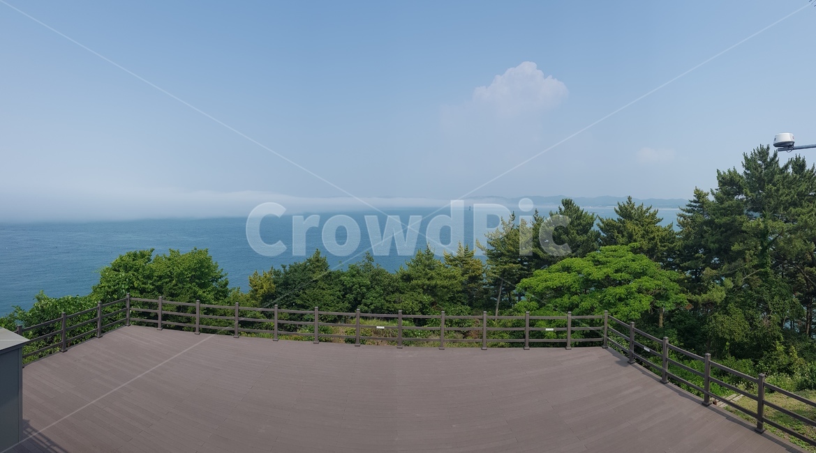 trail,Jeju Island natural scenery,Jeju Island Nature,nature,jeju,sight,jeju island,jejuisland,Jeju Island scenery,walk