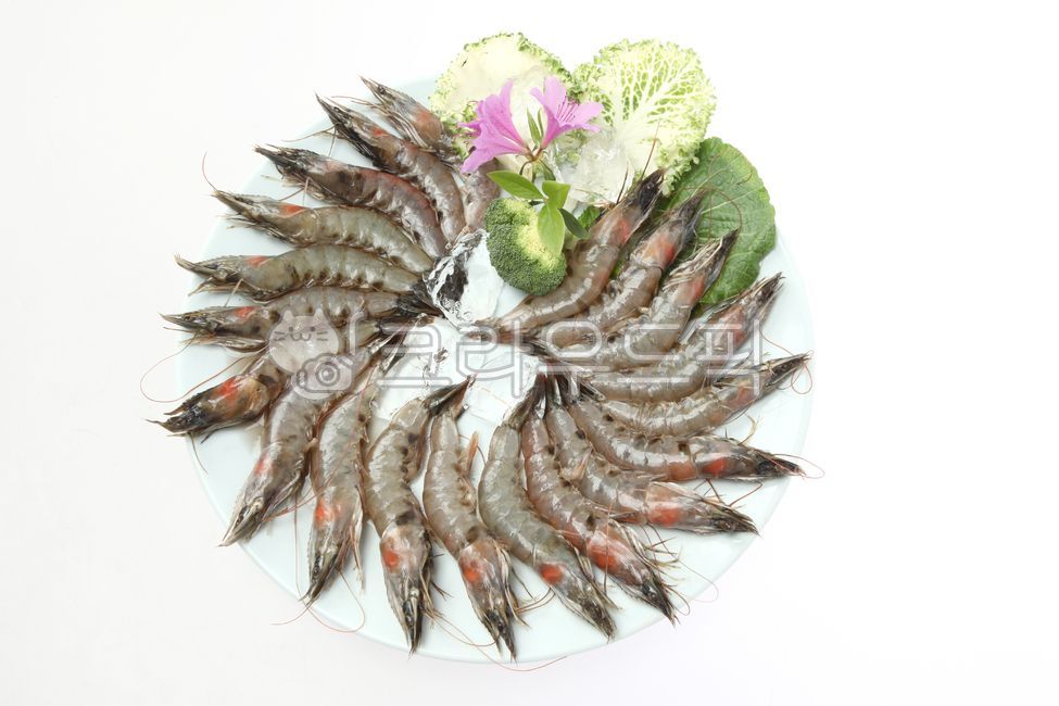 새우,흰다리새우,새우생물,새우재료,수산물,화이트새우,새우요리