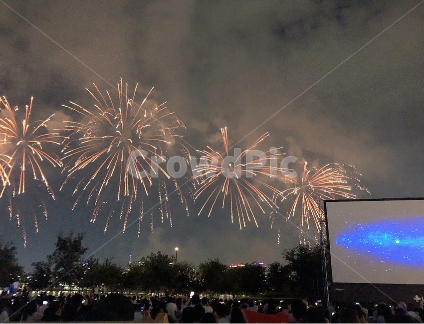 야경,밤하늘,폭죽,폭죽놀이,한강,야경,밤,풍경,nightscape,night,landscape,축제,행사,festival,carnival,event,nature,자연,outdoors,옥외