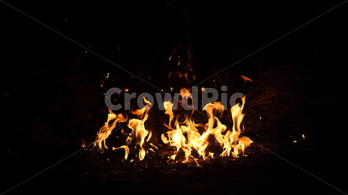 불,달집태우기,모닥불,fire,민속놀이