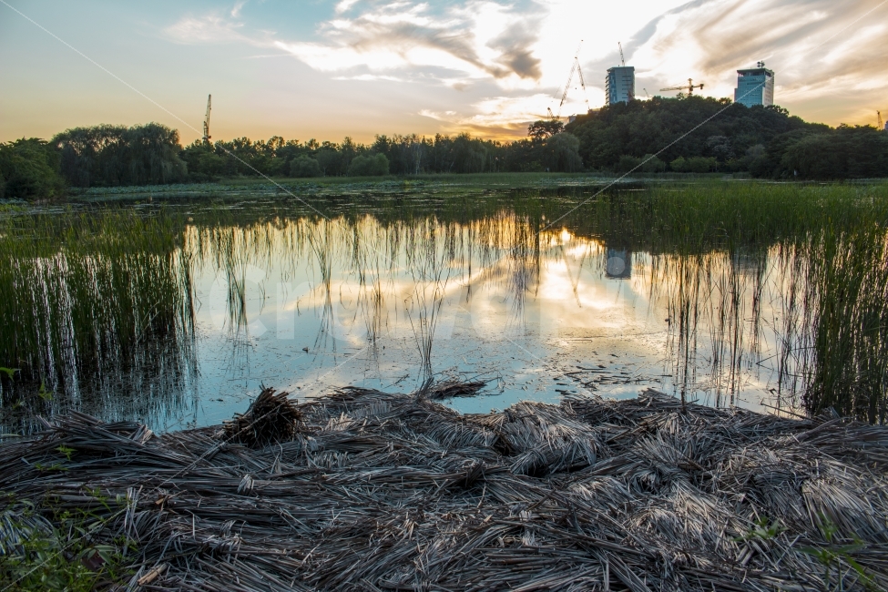 호수,자연,공원,노을,풍경,하늘,구름,자연,풍경,nature,landscape,land,땅,outdoors,옥외,water,물,marsh,습지,swamp,늪,bog,변소