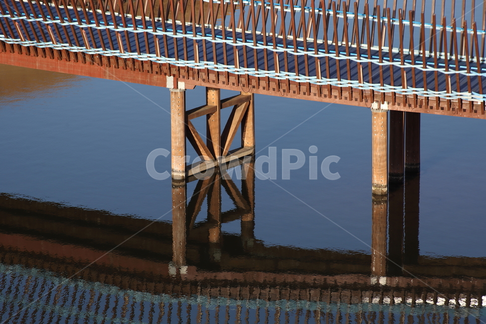나무,다리,반영,reflection,bridge,건축물,건물외관,exterior,building,structure,architecture,construction
