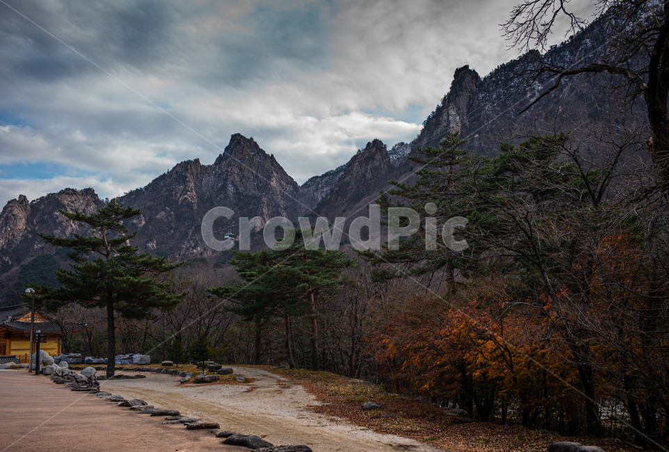 tree,나무,설악,풍경,가을,산,가을,계절,fall,autumn,season