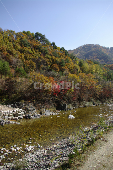 가을,산,강,풍경,단풍,가을,계절,fall,autumn,season,dirt road,흙길,road,도로,gravel,자갈,water,물,nature,자연,outdoors,옥외