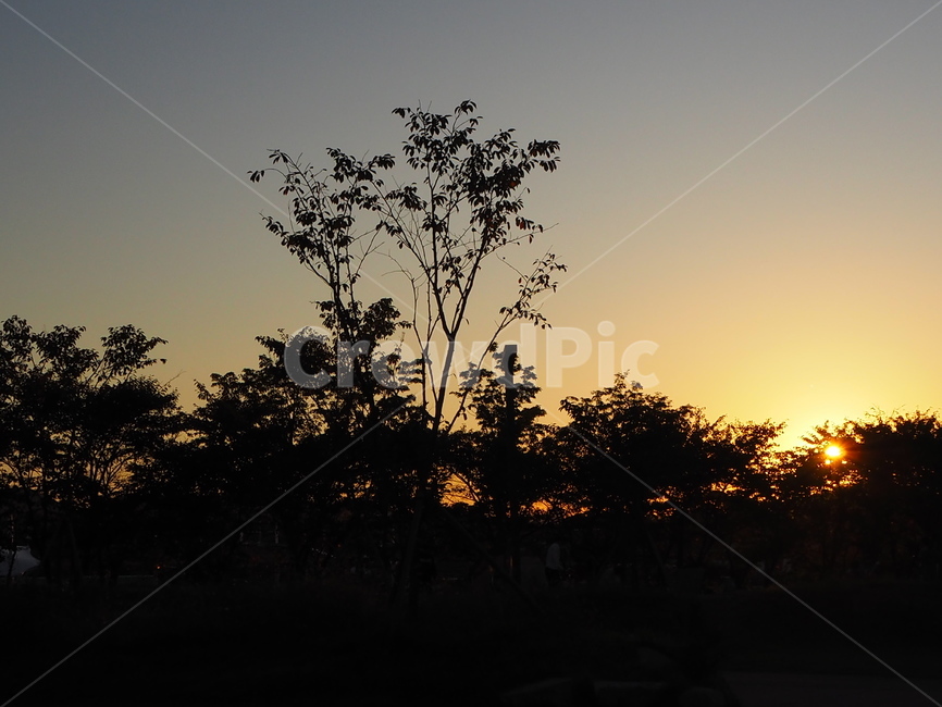 nature,자연,outdoors,옥외,sky,하늘,redsky,붉은하늘,dusk,황혼,dawn,새벽,sunset,일몰,자연,풍경,nature,landscape,red sky,붉은 하늘