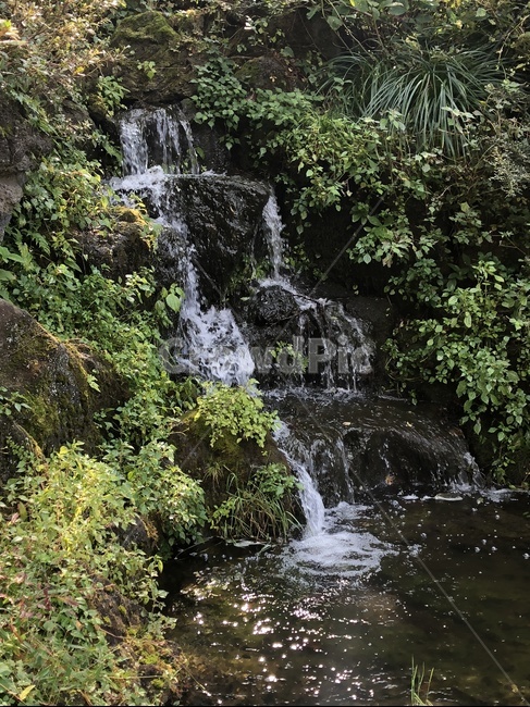 제주도,jeju,폭포,물,자연,nature