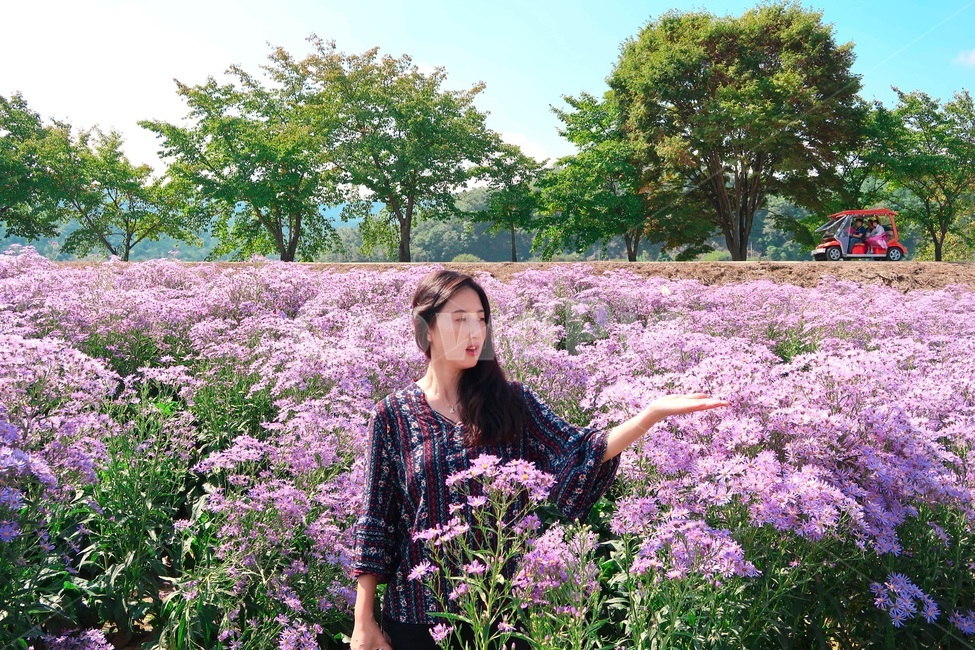 사람,꽃,나무,보라색꽃,식물,사람,인물,인간,human,person,여성,여자,woman,female,lady