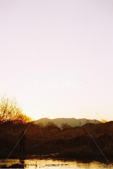 우포늪,늪지,자연,새벽,아침,필름사진,나무,빛,자연,풍경,nature,landscape,outdoors,옥외