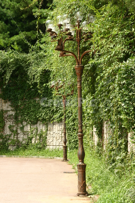 가로등,streetlamps,lamp,ludeng,flower,house,tree,cottage,home,architecture,forest,wood,old,landscape,rural,building,wooden,birdhouse,bird,trees,leaf,romantic,lighted,way,pathway,lantern,illuminated,light,outdoor,park,plant,spring,background,summer,beauty,beautiful,green,garden,nature,street