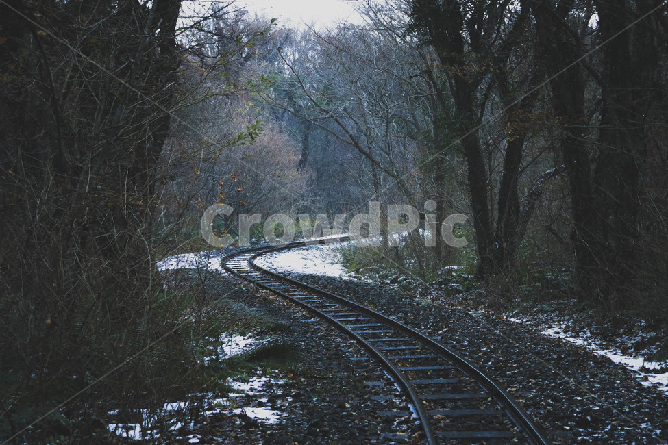철길,곶자왈,제주도,자연,겨울,차가움,rail,darkness,감성,철로