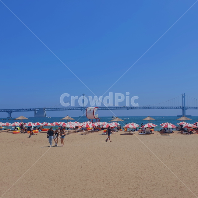 부산,광안리,바다,여름,해수욕장