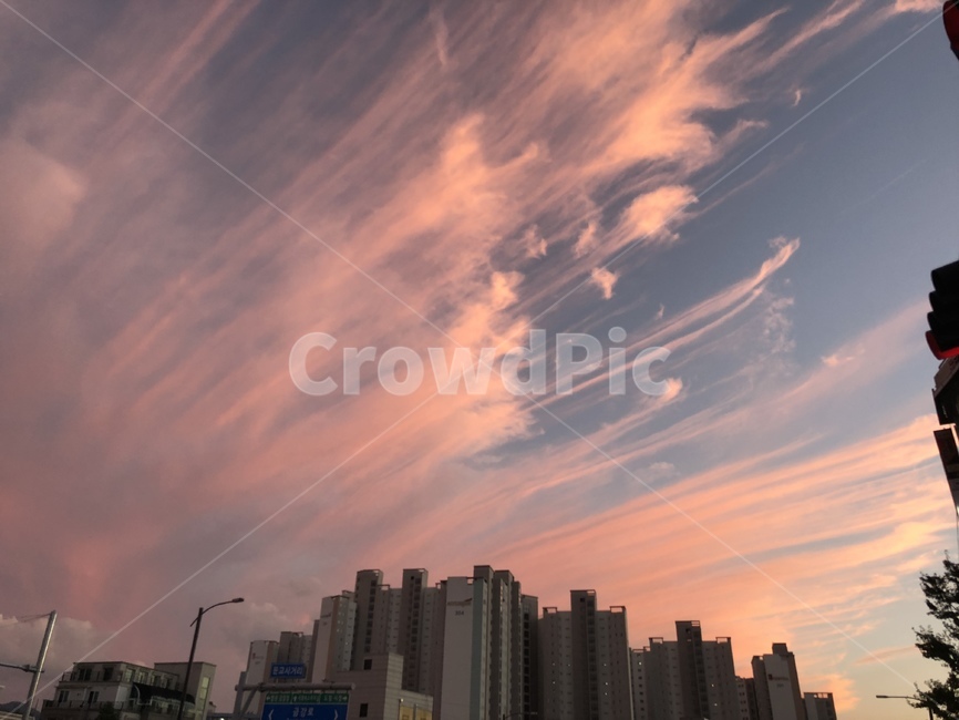 하늘,분홍색,핑크색,구름,건물,도시,풍경,city,landscape,한국도시풍경,한국도시경관,korea cityscape,nature,자연,outdoors,옥외,building,office building,사무실 건물,sky