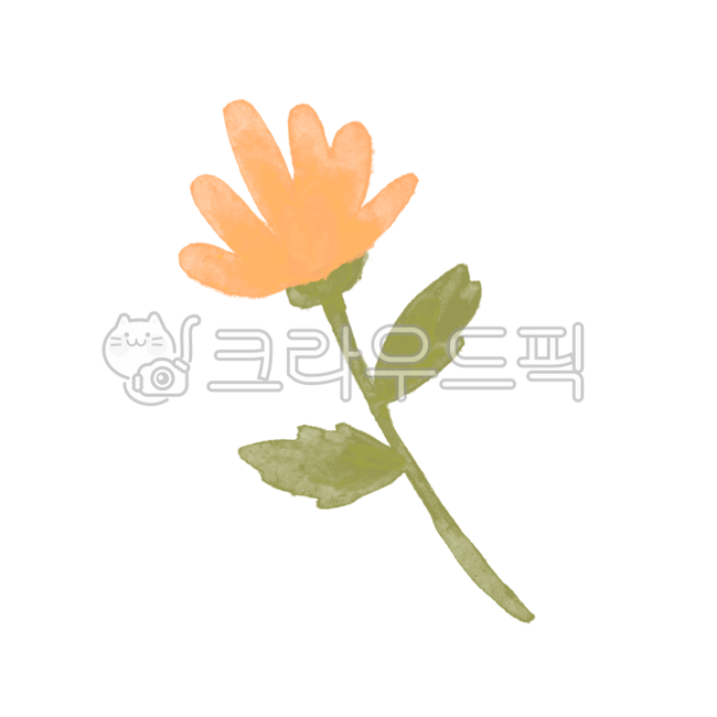 식물,식물그림,꽃그림,풀잎,풀,식물일러스트,꽃일러스트,flower,들꽃,wildflower,plants,데이지,daisy