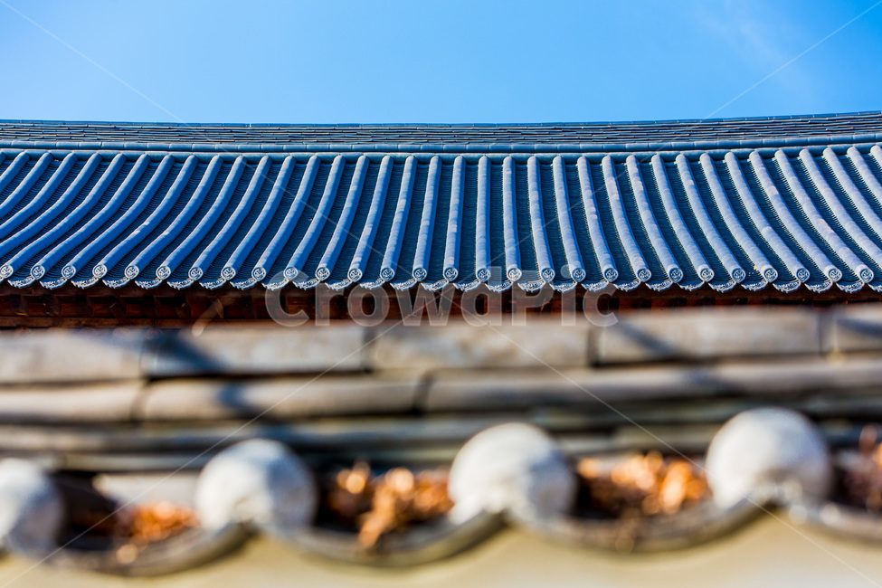 기와,문양,무늬,가을,패턴,감성,한국전통,한국문화,korean traditional,korean culture,건축물,건물외관,exterior,building,structure,architecture,construction