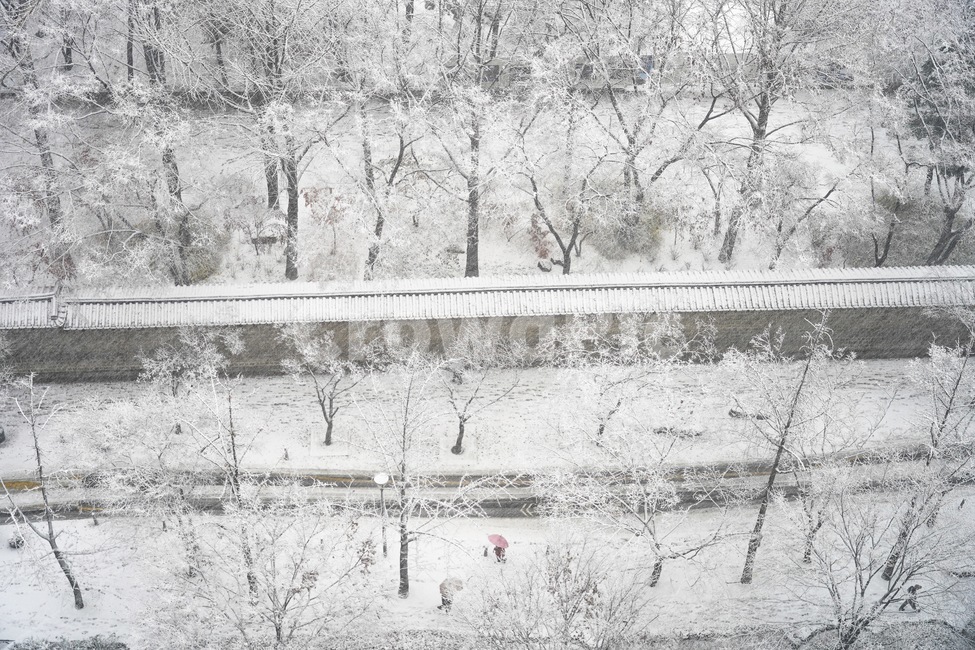 눈,겨울,덕수궁,돌담길,자연,풍경,눈보라,snow,winter,겨울,계절,winter,season